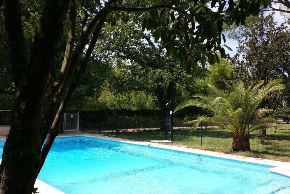 à l'autre bout du parc : la piscine (12m x 6m), avec clôture et alarme de sécurité,
