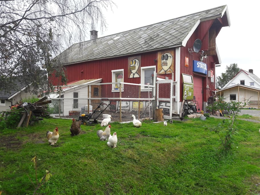 Barn apartment which incorporates our art studio and chickens.