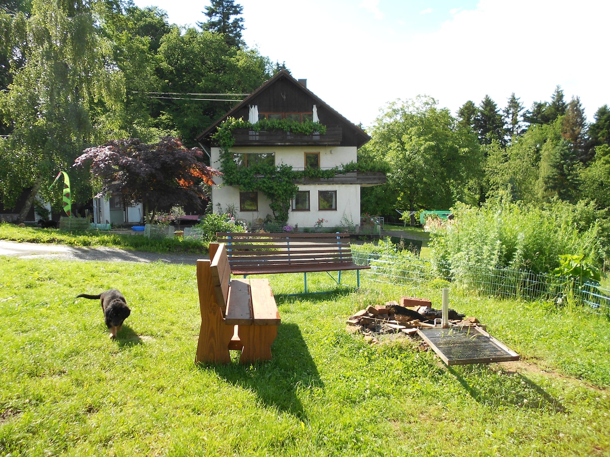 A green outdoor space features a wooden bench positioned near a fire pit surrounded by stones. A charming multi-story house is visible in the background, adorned with plants. Lush trees and grass create a serene environment, providing ample room for relaxation.