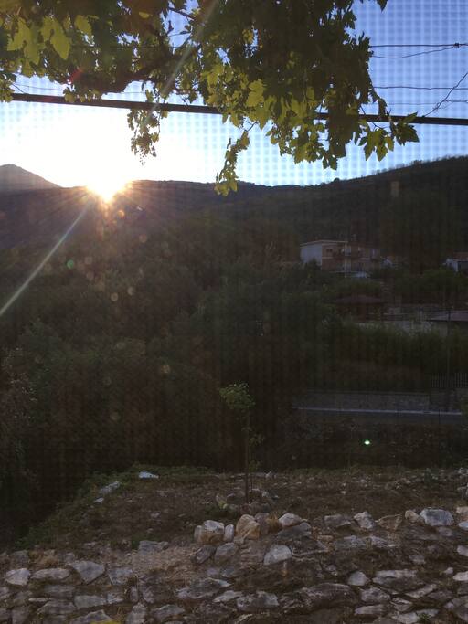 View from the kitchen window