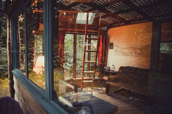 Rustic Cabin In The Woods Cabins For Rent In Galiano Island