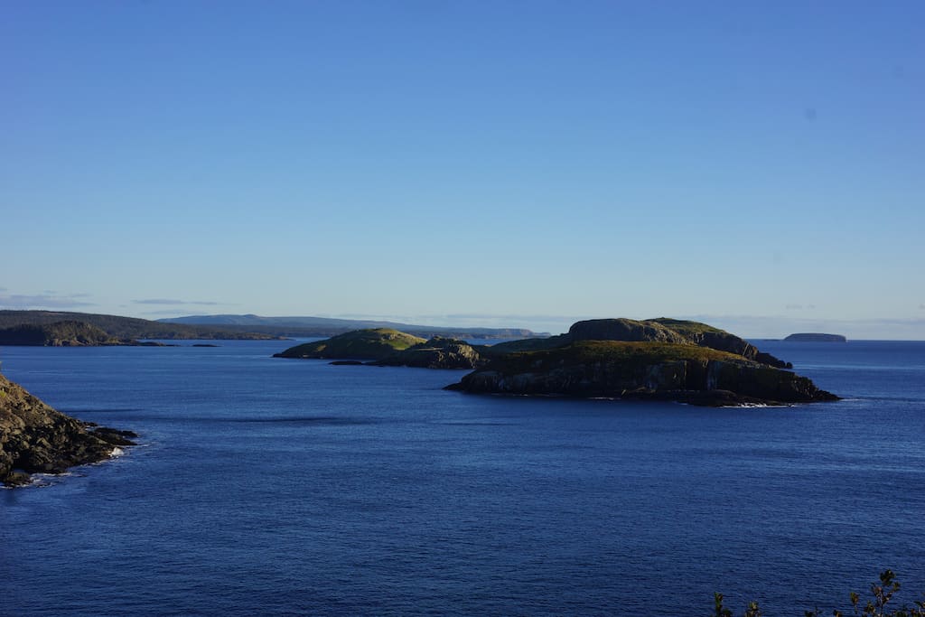 Unwind with a view of the Witless Bay Ecological Reserve