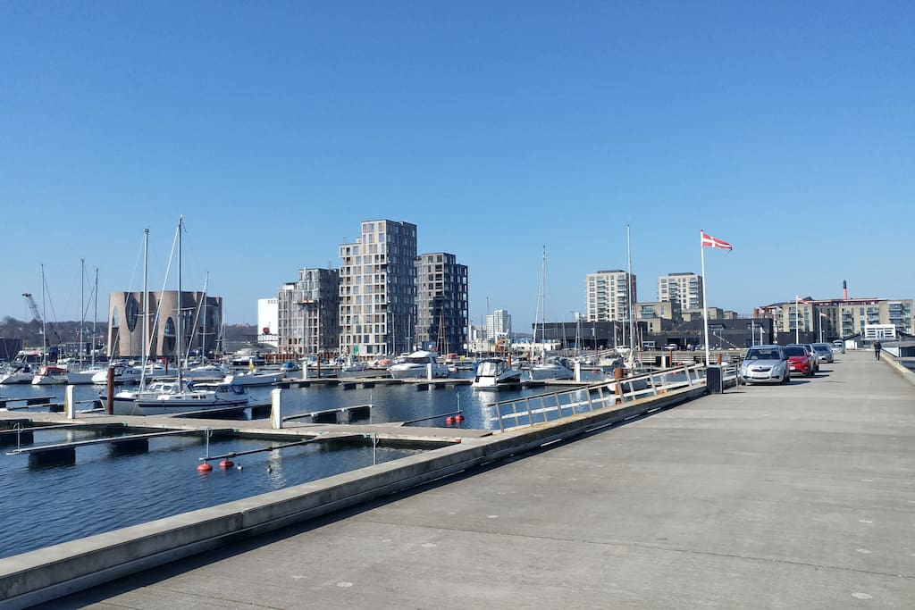The marina