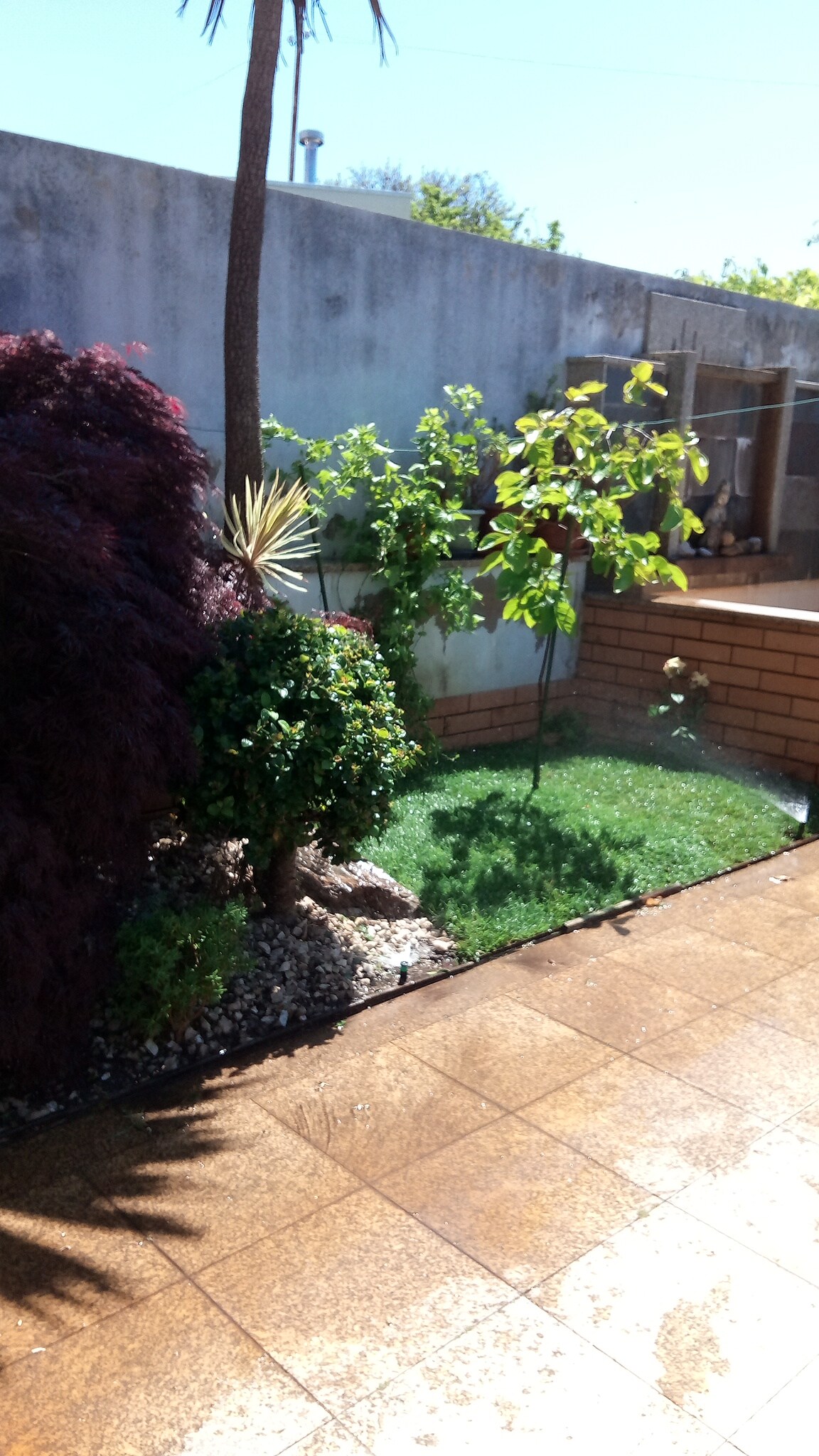A private outdoor space features a well-maintained garden, including a small grassy area and various plants such as a palm tree and a bush. Sunlight casts a warm glow on the tiled patio, enhancing the tranquil ambiance.