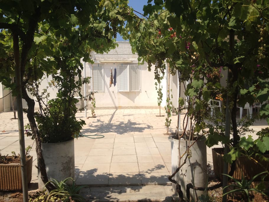 il nostro giardino