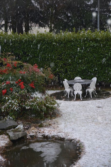 Il giardino spruzzato di neve