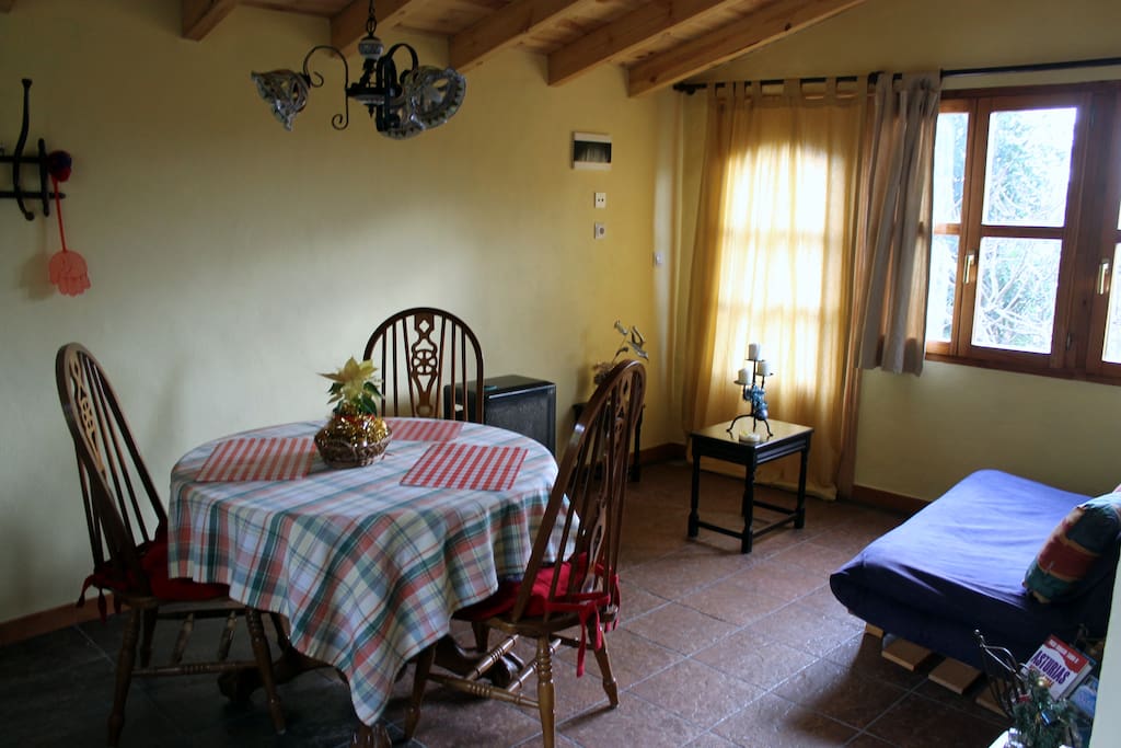 Salón- comedor