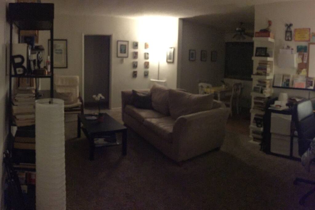 Nice cozy living room with pull out sofa bed. Netflix and Hulu interested in BlueRay Player. Lots of books to read!