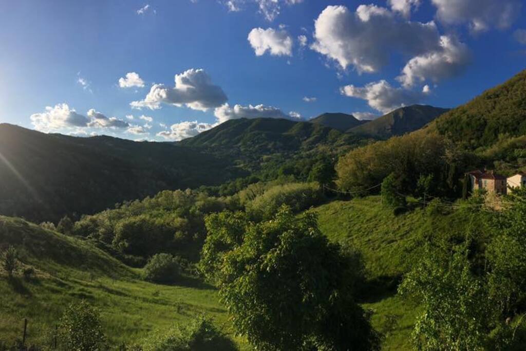 View from Balcony