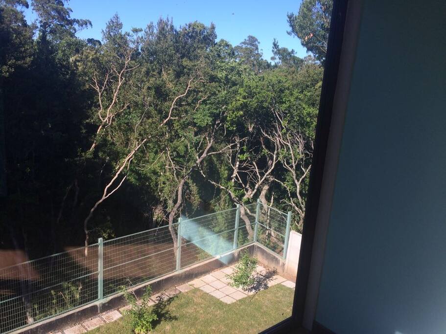 A view from the upper suite