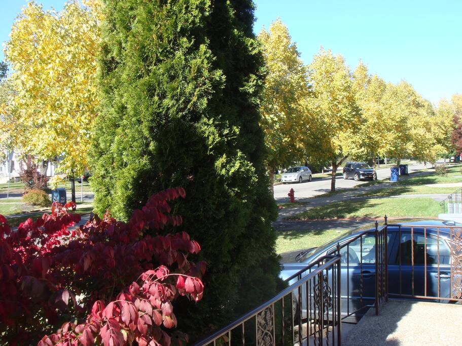 A beautiful street. 2 minutes walk to Kenmore Ave.