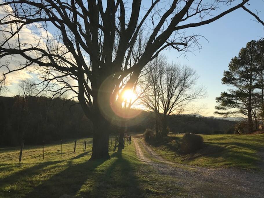 Take a stroll.
