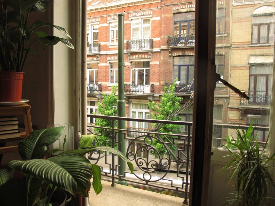 Living room: Window on our beautiful street