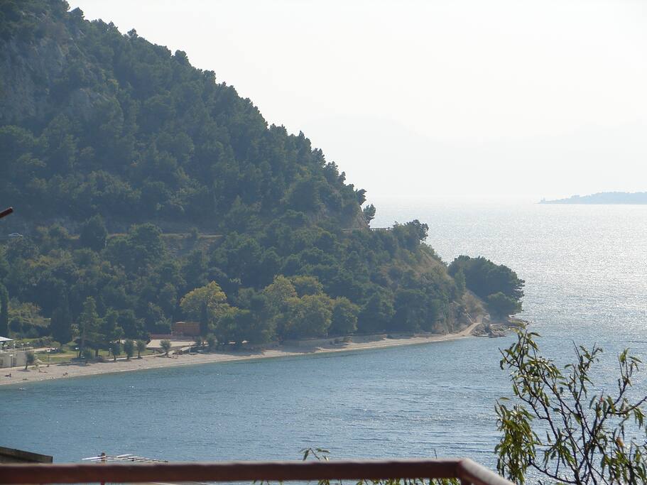 view