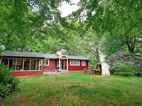 Cottage in a forest environment