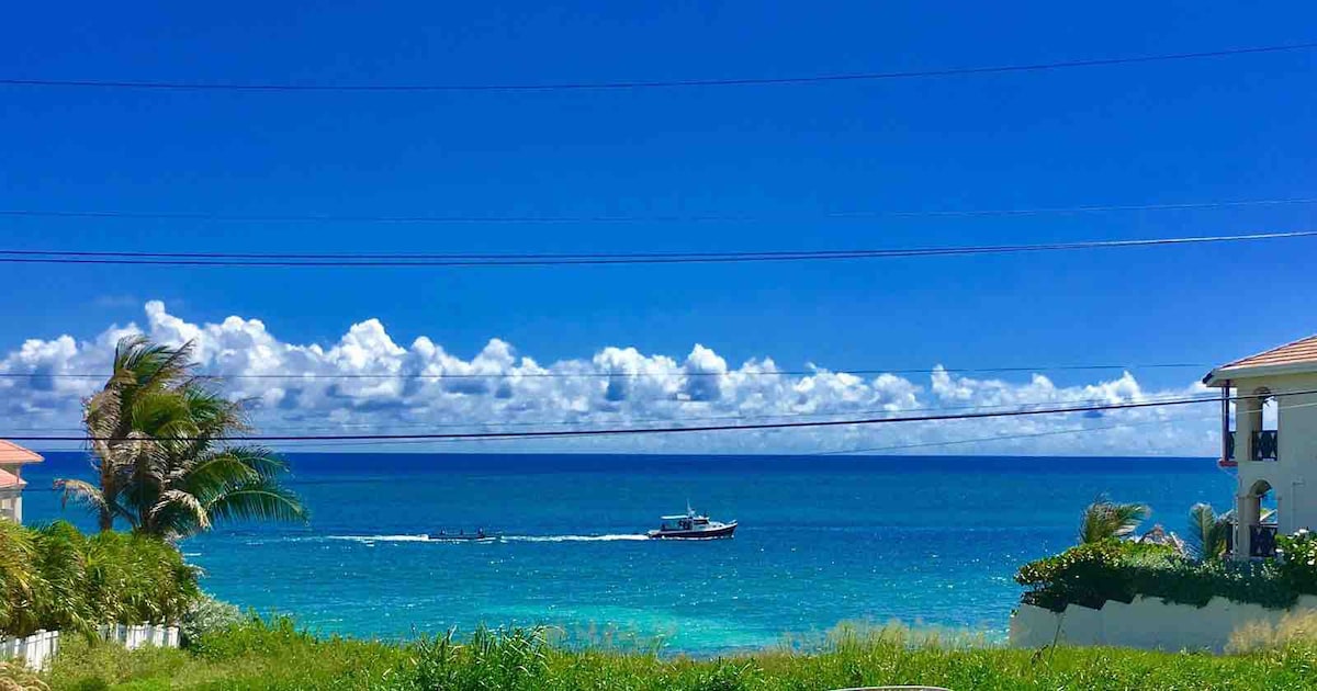 A panoramic view of the ocean features clear blue waters under a bright sky, dotted with fluffy white clouds. A boat is seen traveling on the water, with lush greenery visible in the foreground and a white building on the right.