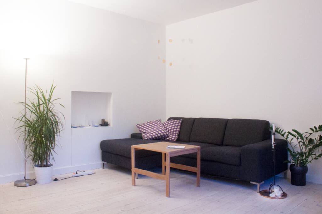 Large living room with a comfy couch.