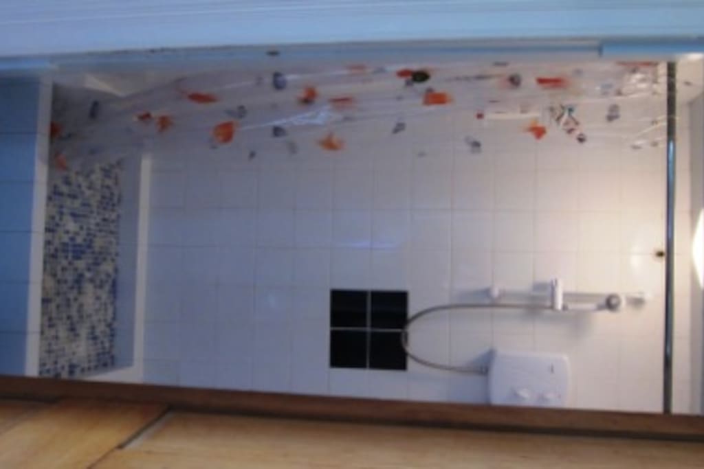 Shower room