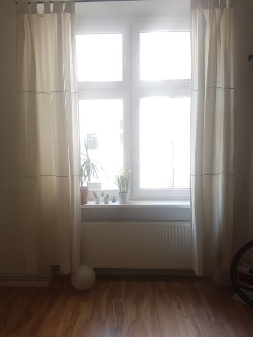 Living room window