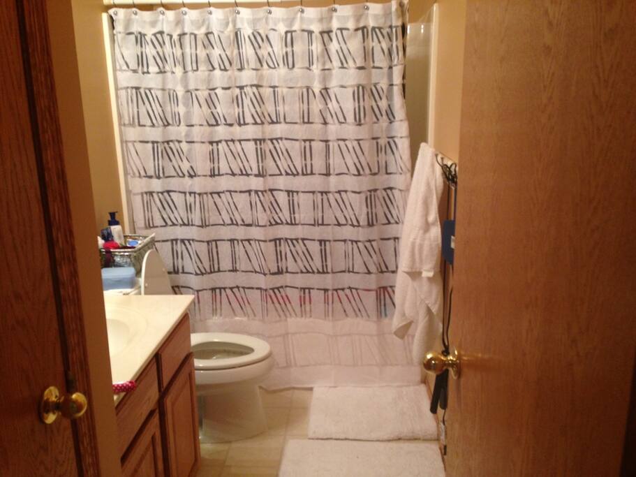 Basement Bathroom