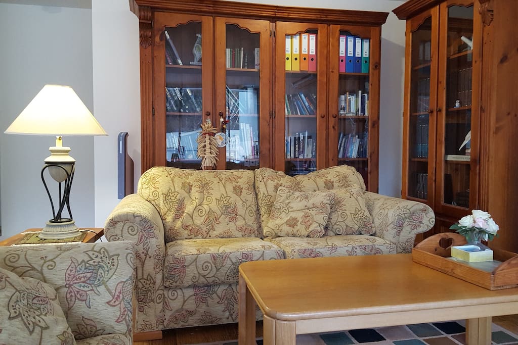 Living Area with bookcases