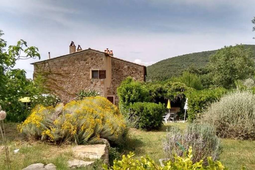 il giardino in fiore