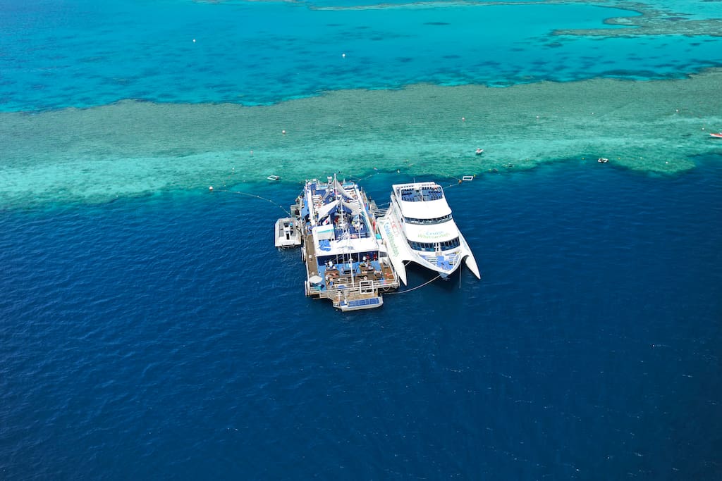 Reefworld, Hardy Reef