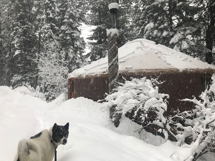 Hidden Moon Yurt winter.