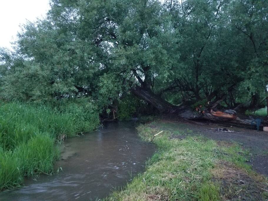 Coalpit Creek