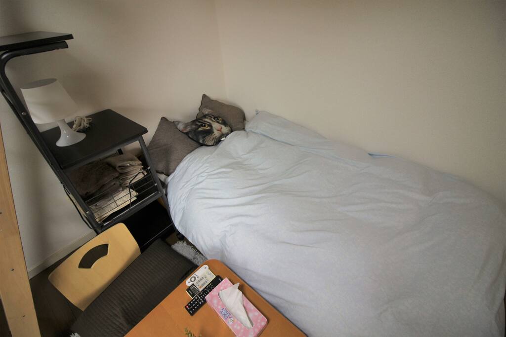 Clean and comfy room!