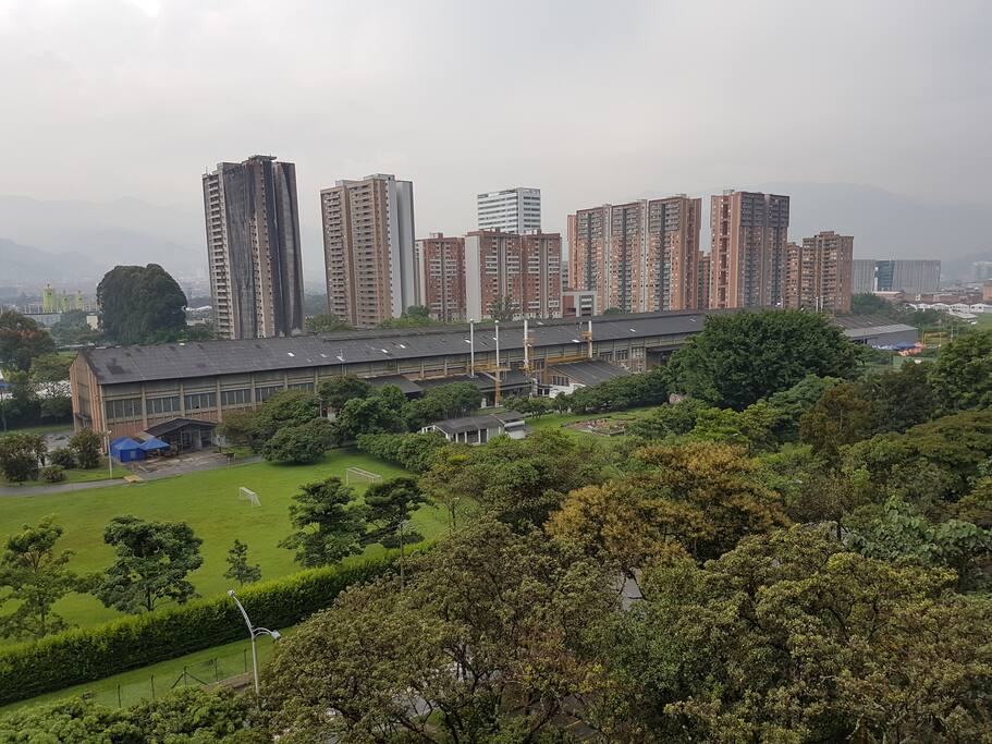 View from Balcony