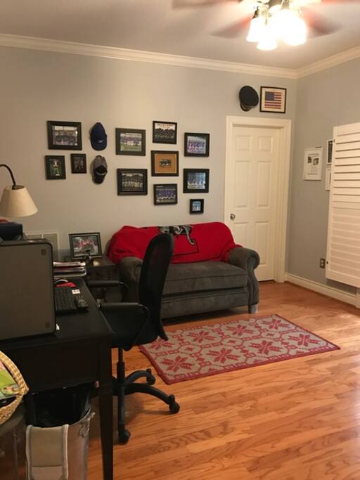 Downstairs bedroom w/ pull out couch & mini fridge