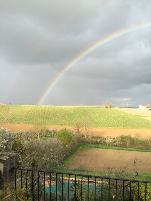 Vue sur les vignes depuis la terrasse, niveau pièce principale.
