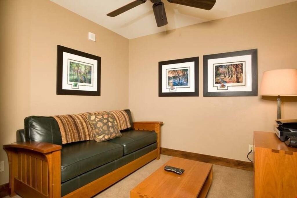The den features a pull-out sofabed and a TV