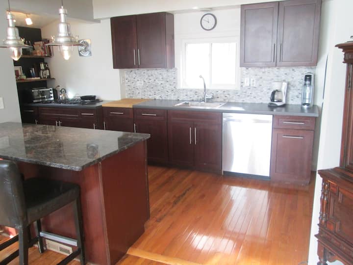 Regent Square House on Frick Park Houses for Rent in Pittsburgh