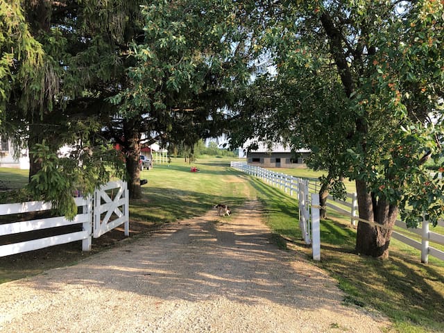Beautiful Restored Farm on 80 acres. Amazing View