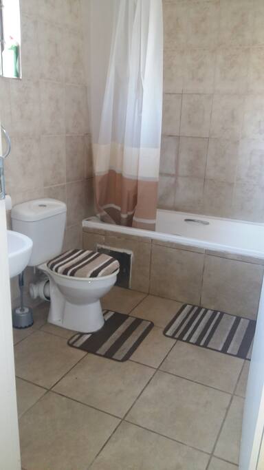 2-in-1 Shower and Bathtub