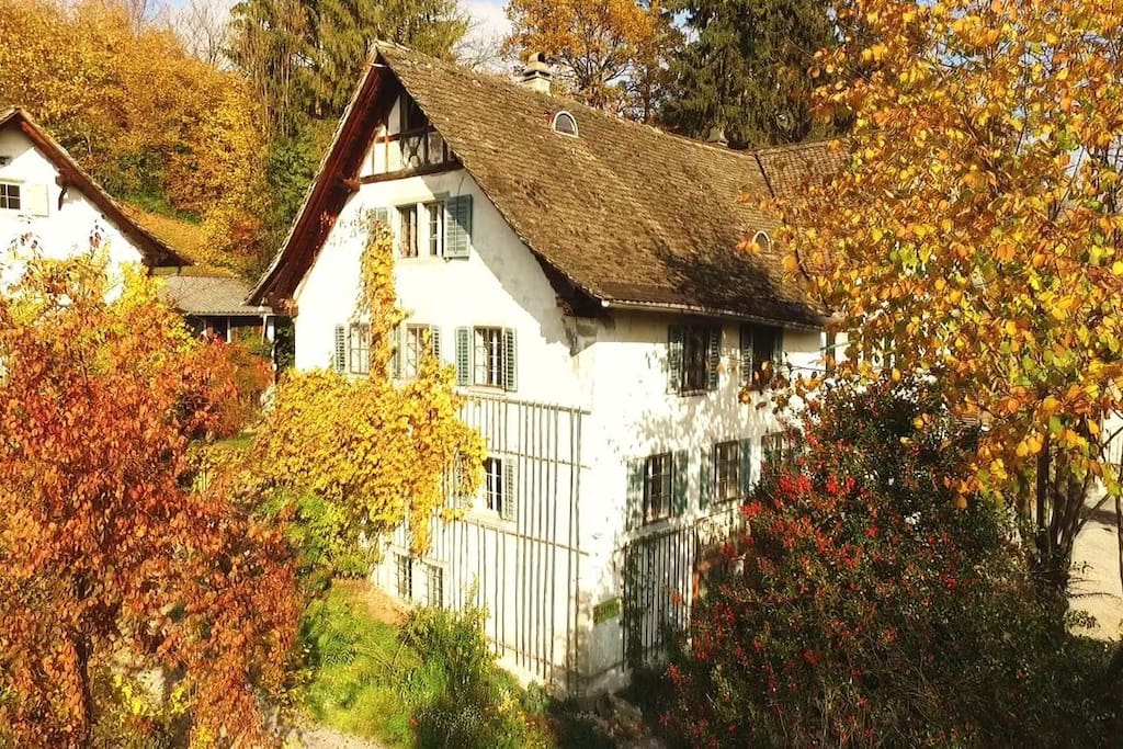 The house