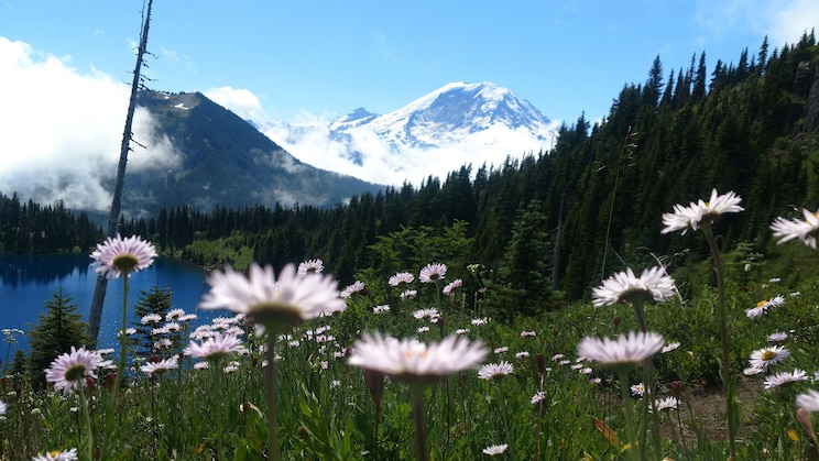 Показать полноэкранное фото от хозяина