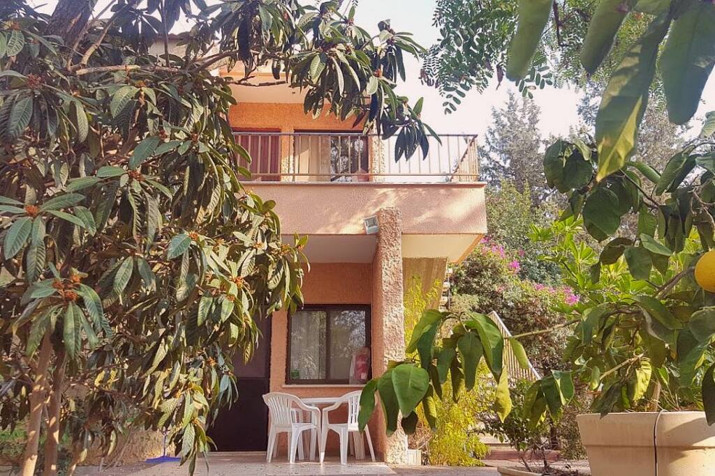 The building of the 4 vacation apartments - the GROUND 2 apts. have their own patios (on the deck); the TOP 2 apts. have balconies (listed in https://www.airbnb.com/rooms/995877). המבנה ובו 4 יחידות אירוח משפחתיות - לכל אחת מהתחתונות - פטיו (על הדק) ולעליונות - מרפסות.
