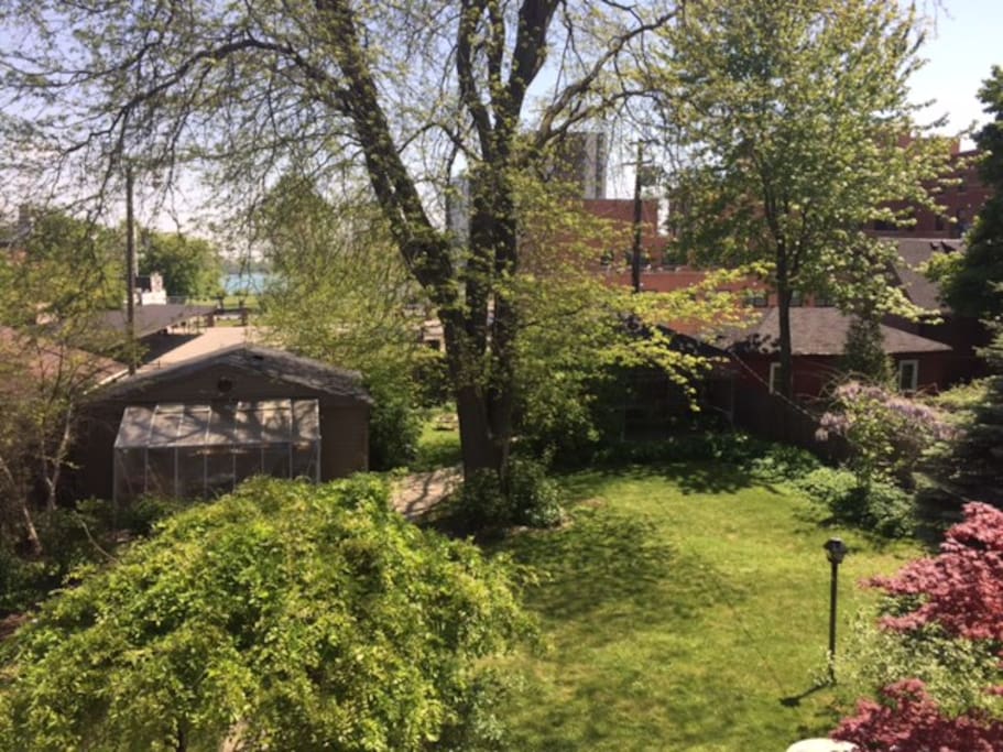 Backyard