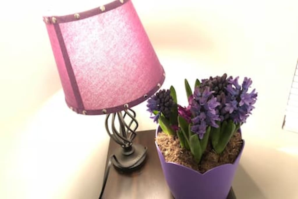 Night light