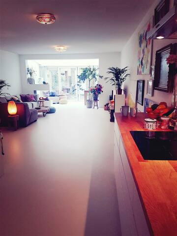 Amsterdam townhouse + sauna, 165m2 gallery image 2