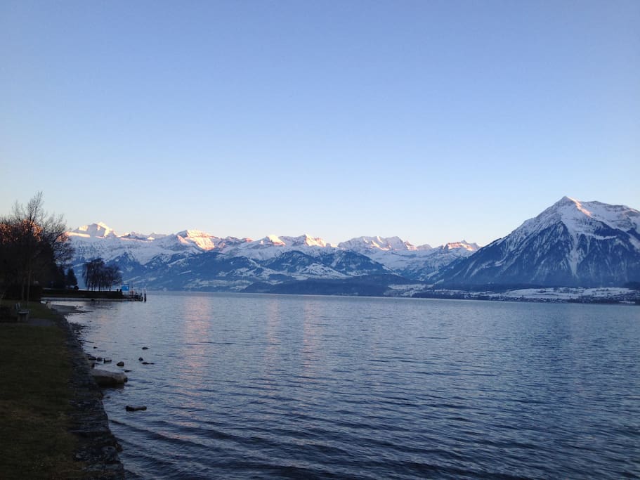 Sicht direkt vor dem Haus über den Thunersee und ins Berner Oberland (das Zimmer hat keine Seesicht)