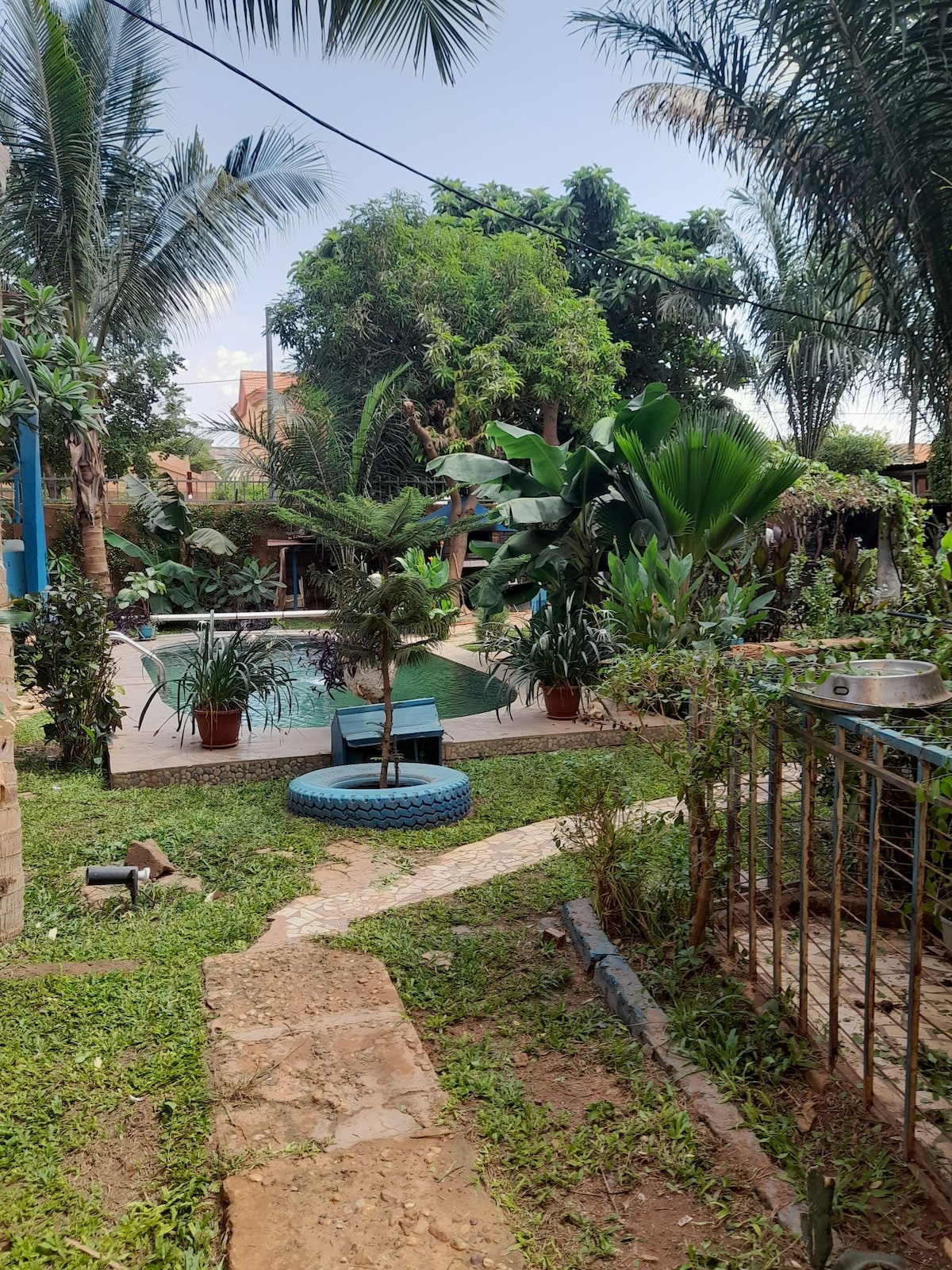 A landscaped garden with lush greenery surrounds a swimming pool. Palm trees and large leafy plants create a tropical feel. Comfortable seating is provided, and a stone pathway leads through the vibrant foliage, inviting relaxation and leisure.