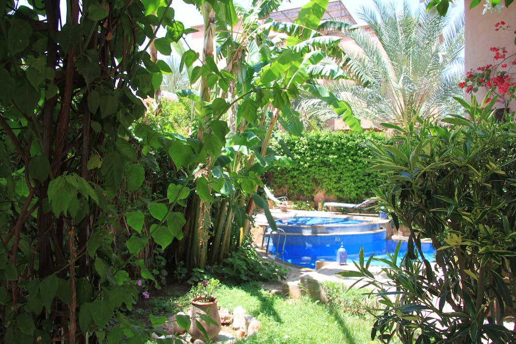 jardin