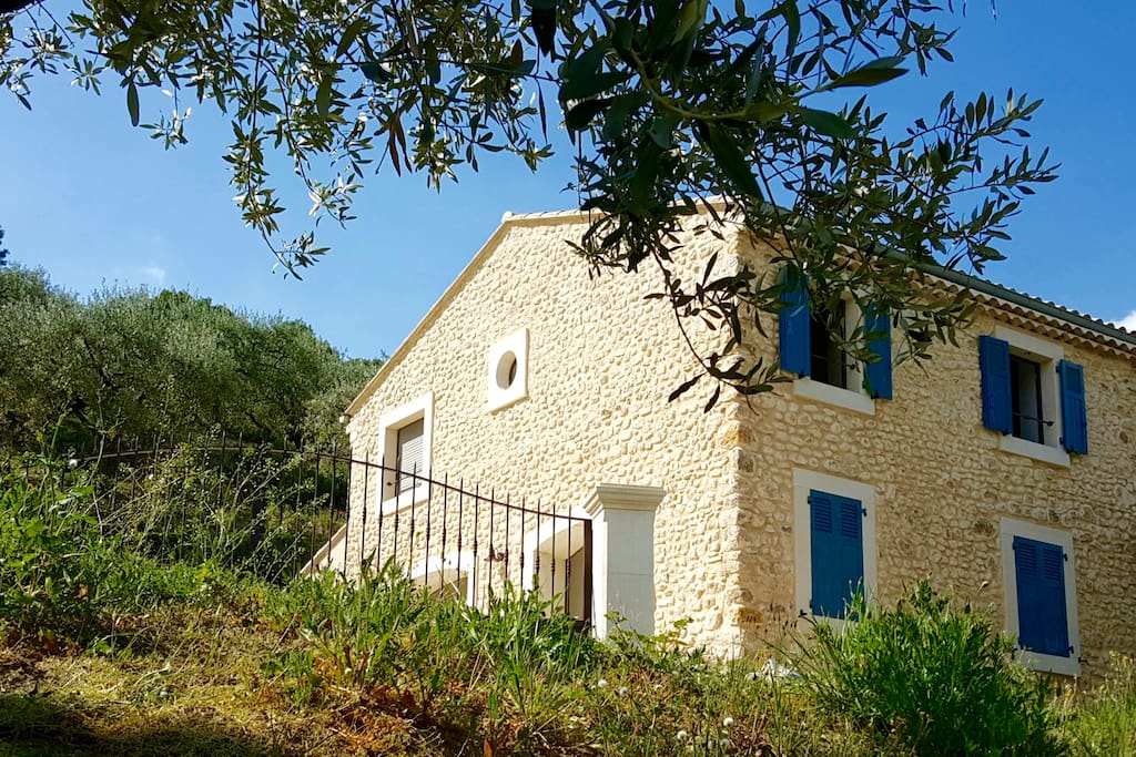 La villa dans son oliveraie