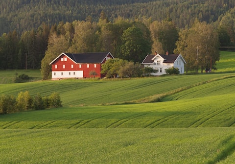 Large farmhouse with wood fired pizza oven