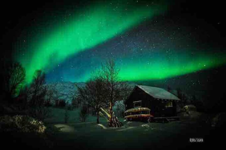 Airbnb Straumsjoen Vacation Rentals Places To Stay