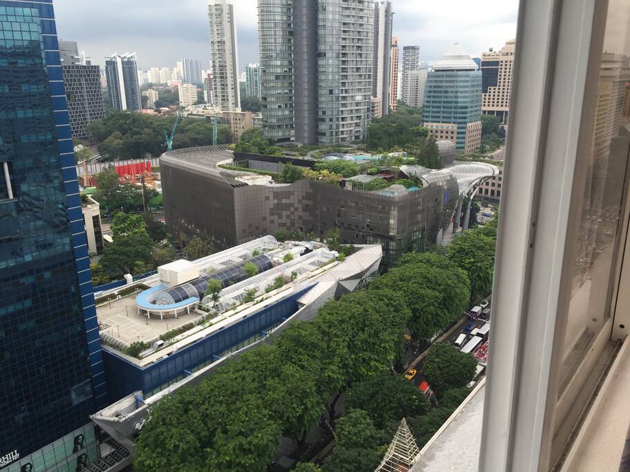 Ion Ochard, where you can shop and take Mrt ( train) to everywhere in Singapore
(Photo taken from the apartment window)